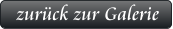zurück zur Galerie