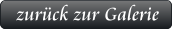 zurück zur Galerie