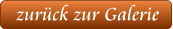 zurück zur Galerie
