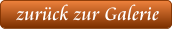 zurück zur Galerie
