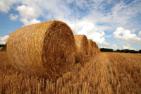 Mecklenburg Vorpommern