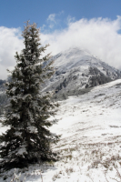 Steiermark / Österreich