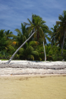 Dominikanische Republik