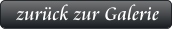 zurück zur Galerie