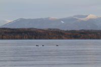 Starnberger See